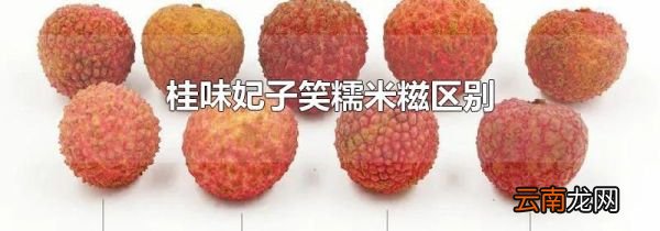 桂味妃子笑糯米糍区别