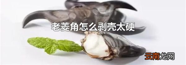 老菱角怎么剥壳太硬