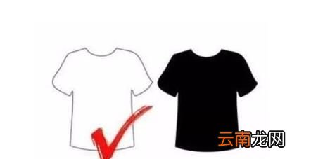 10个小妙招教你赶走烦人的蚊子