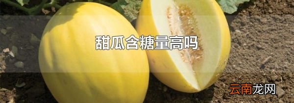 甜瓜含糖量高吗