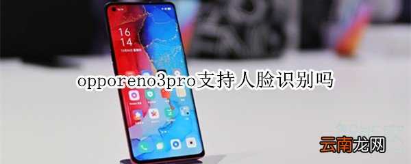 opporeno3pro支持人脸识别吗