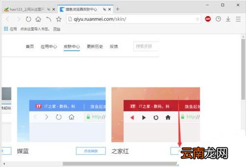 旗鱼浏览器中更换皮肤具体方法介绍