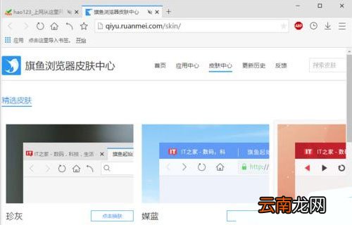旗鱼浏览器中更换皮肤具体方法介绍