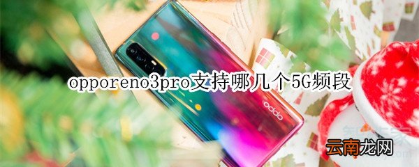 opporeno3pro支持哪几个5G频段