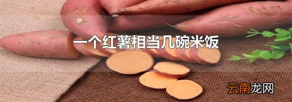 一个红薯相当几碗米饭