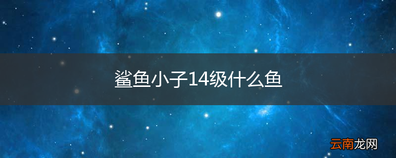 鲨鱼小子14级什么鱼