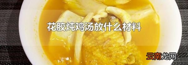 花胶炖鸡汤放什么材料