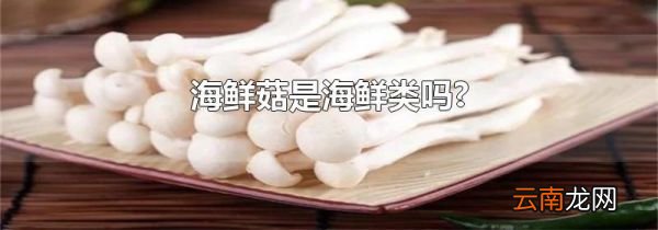 海鲜菇是海鲜类吗?
