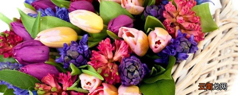 鲜花保鲜小妙招