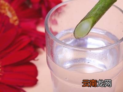 鲜花保鲜小妙招