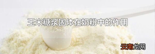 玉米糖浆固体在奶粉中的作用