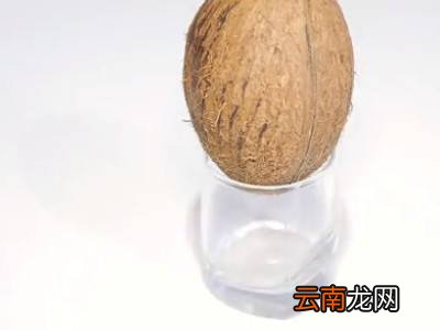 椰子如何打开
