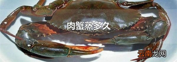 肉蟹蒸多久