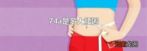 74a是多大腰围