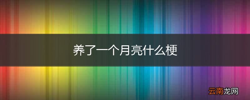 养了一个月亮什么梗