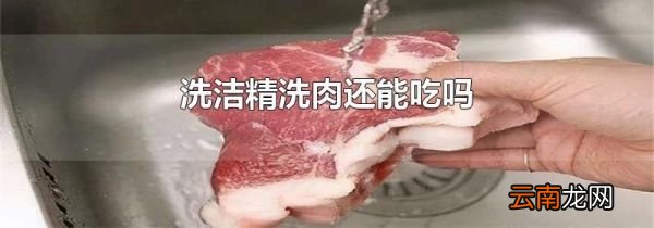 洗洁精洗肉还能吃吗