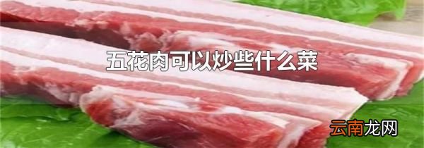 五花肉可以炒些什么菜