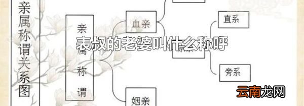 表叔的老婆叫什么称呼
