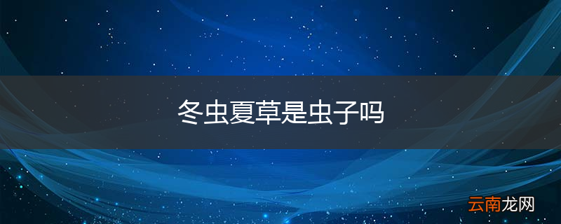 冬虫夏草是虫子吗