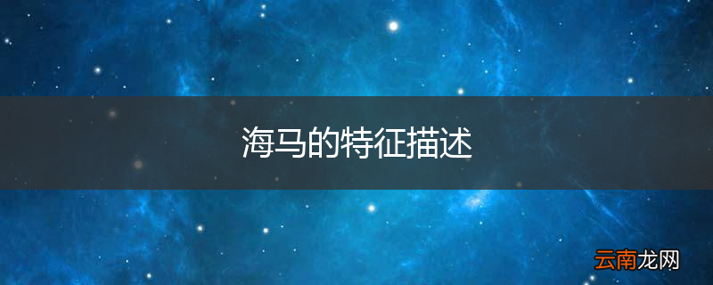海马的特征描述