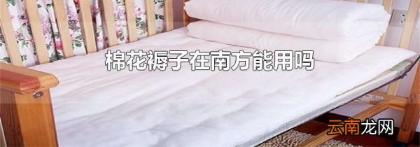 棉花褥子在南方能用吗
