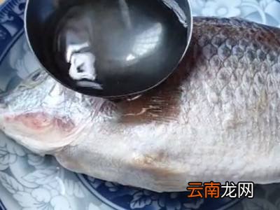 1分钟快速解冻鱼的方法