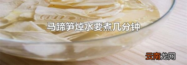 马蹄笋焯水要煮几分钟