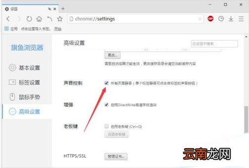 旗鱼浏览器中网页设置静音具体方法介绍