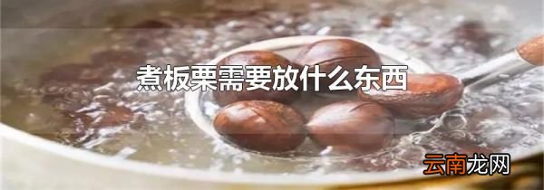 煮板栗需要放什么东西
