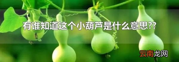 有谁知道这个小葫芦是什么意思??