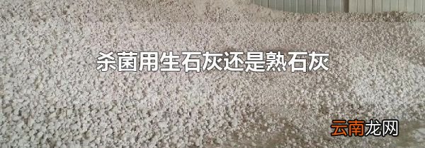 杀菌用生石灰还是熟石灰