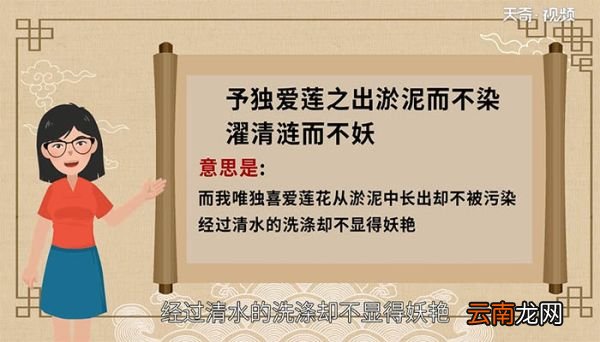 予独爱莲之出淤泥而不染濯清涟而不妖的意思 予独爱莲之出淤泥而不染濯清涟而不妖是什么意思