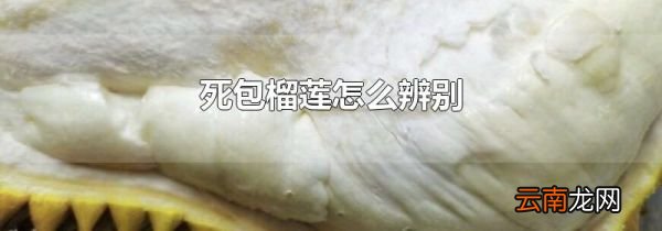 死包榴莲怎么辨别