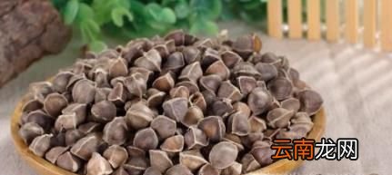 辣木籽的功效和作用及食用方法