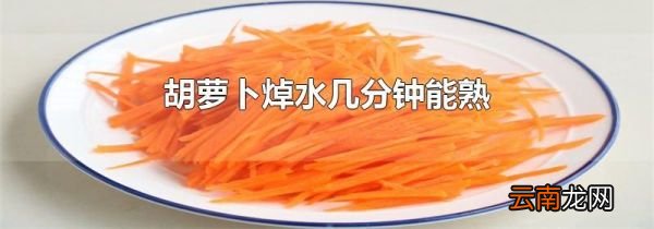 胡萝卜焯水几分钟能熟