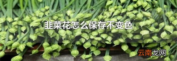韭菜花怎么保存不变色
