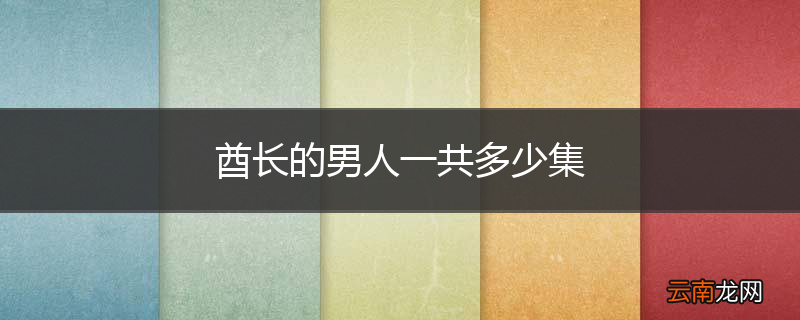 酋长的男人一共多少集