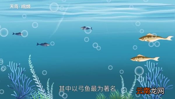 洱海在云南哪里 苍山洱海在云南哪里位置