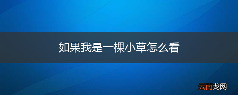 如果我是一棵小草怎么看