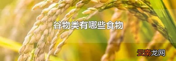 谷物类有哪些食物