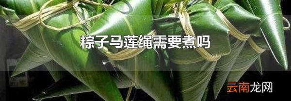 粽子马莲绳需要煮吗