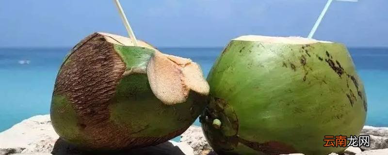 椰子能放冰箱冷藏几天