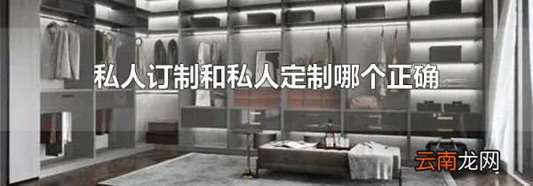私人订制和私人定制哪个正确