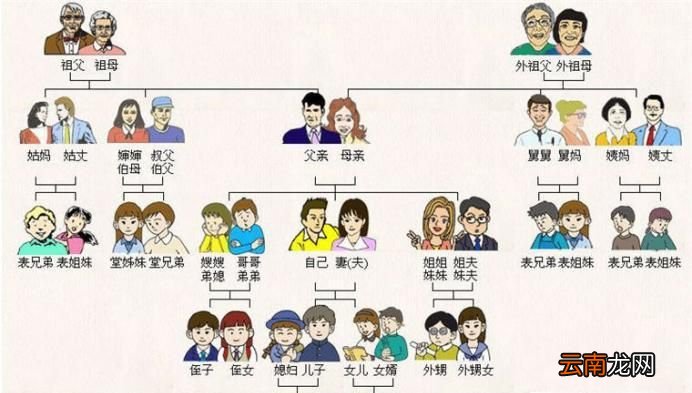 家族称呼大全