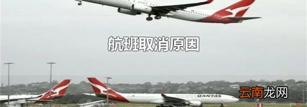 航班取消原因