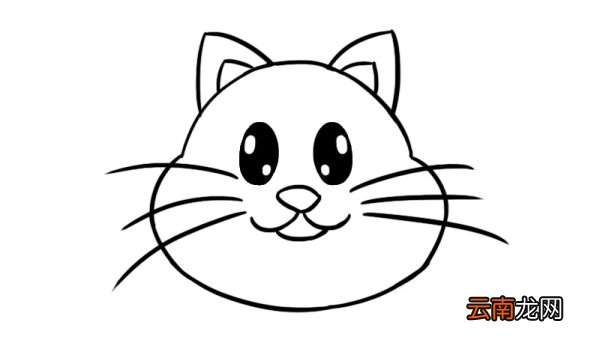 猫头简笔画 猫头的可爱画法