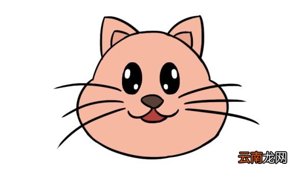 猫头简笔画 猫头的可爱画法