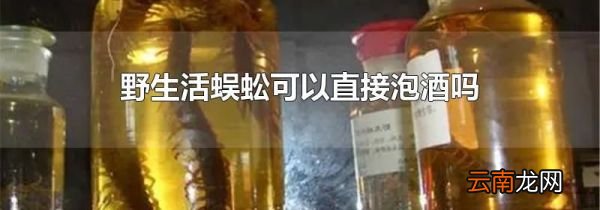 野生活蜈蚣可以直接泡酒吗