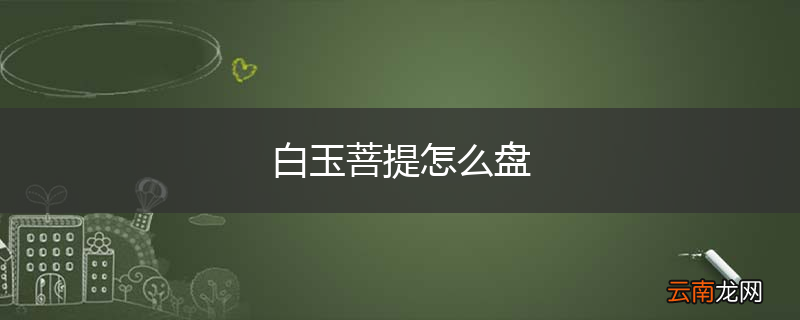 白玉菩提怎么盘