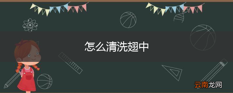 怎么清洗翅中